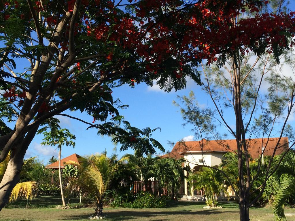 La villa émeraude Saint-Francois  Extérieur photo